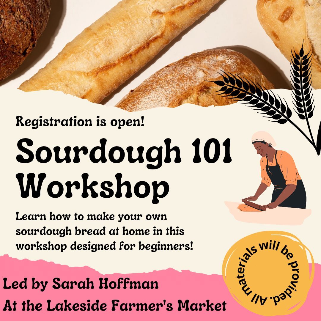 Sourdough 101 Workshop 