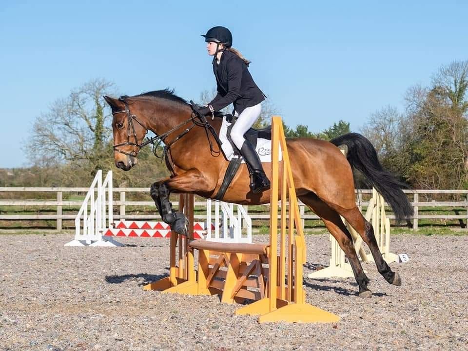 Easter Egg Showjumping