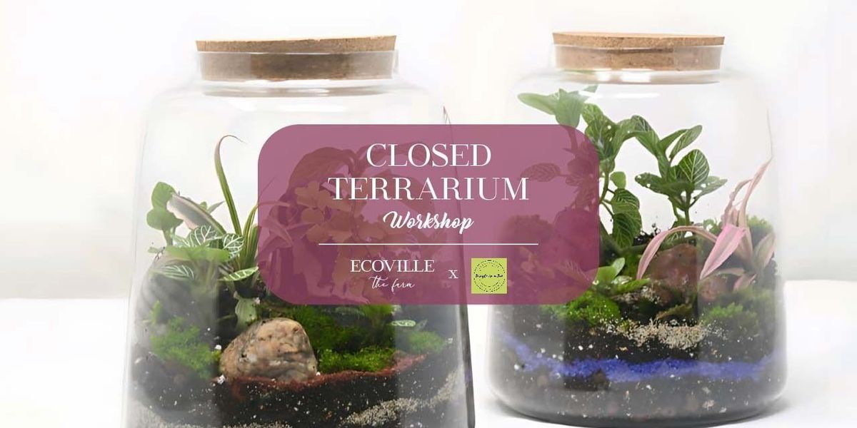 Closed Terrarium Workshop
