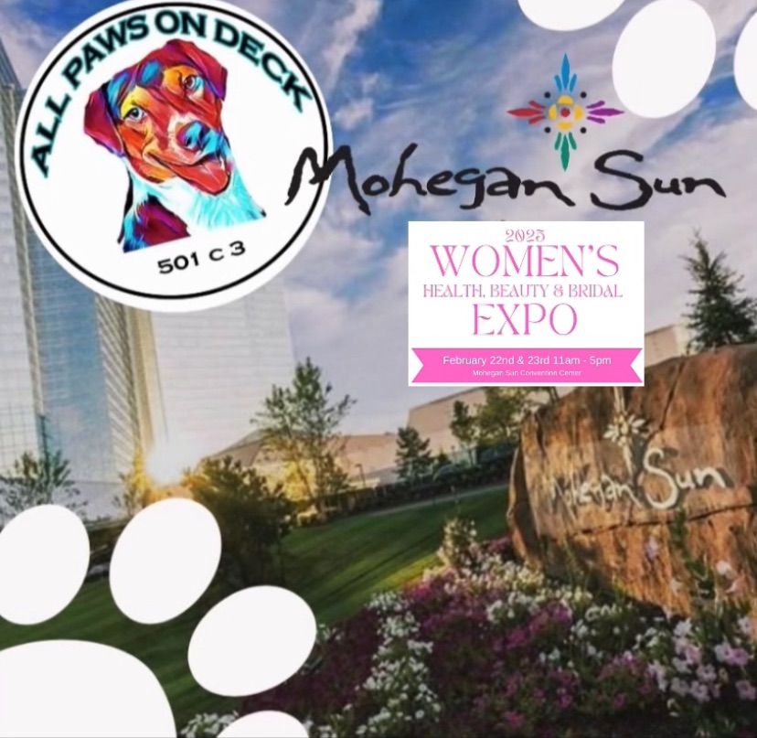 Adoption Event at Mohegan Sun, Bridal and Beauty Expo