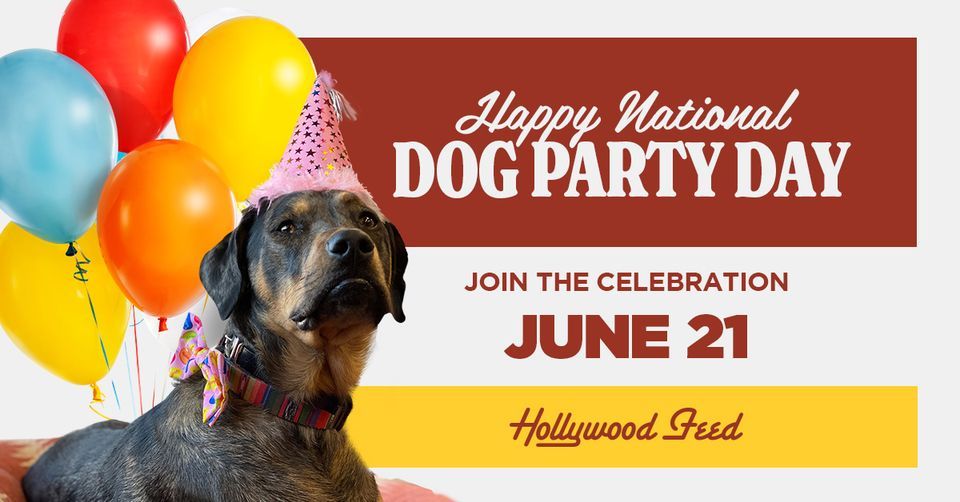 National Dog Party