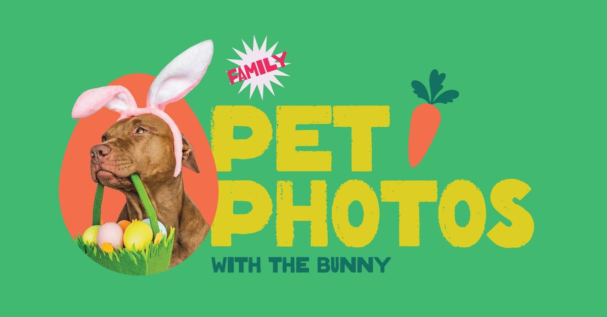 Family Pet Photos with the Bunny