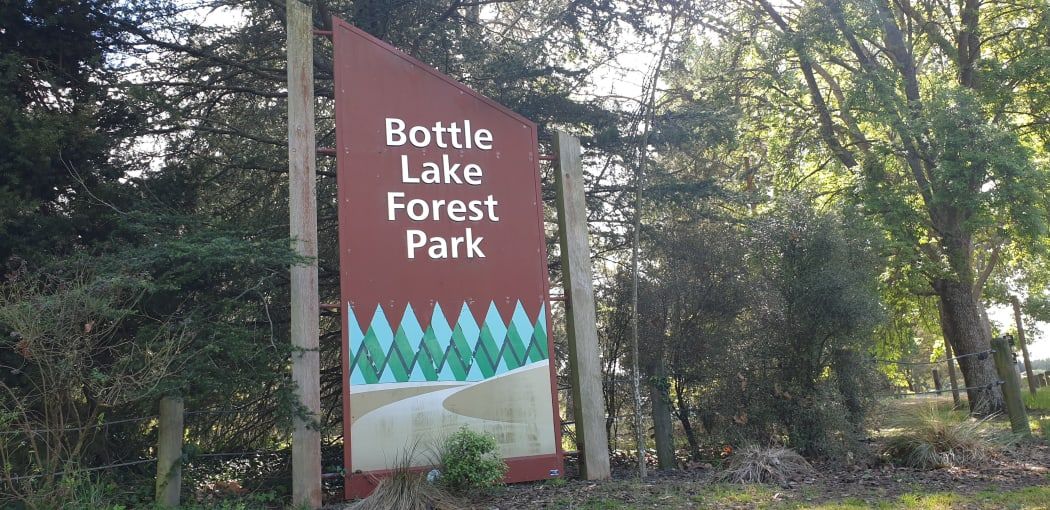 Forest Explorer (He uri a T\u0101ne) at Bottle Lake Forest Park