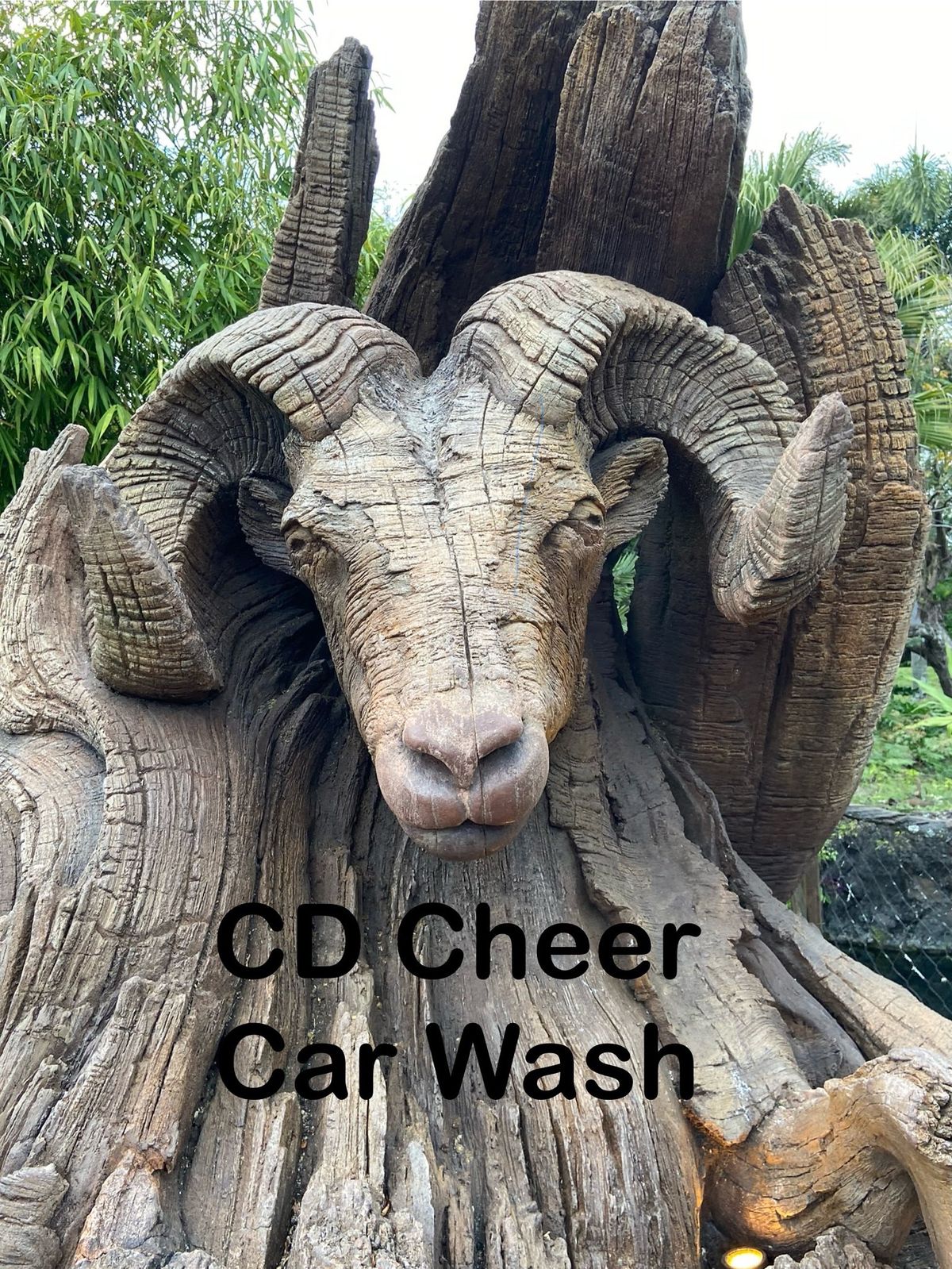Car Wash Harley Davidson CD Cheer