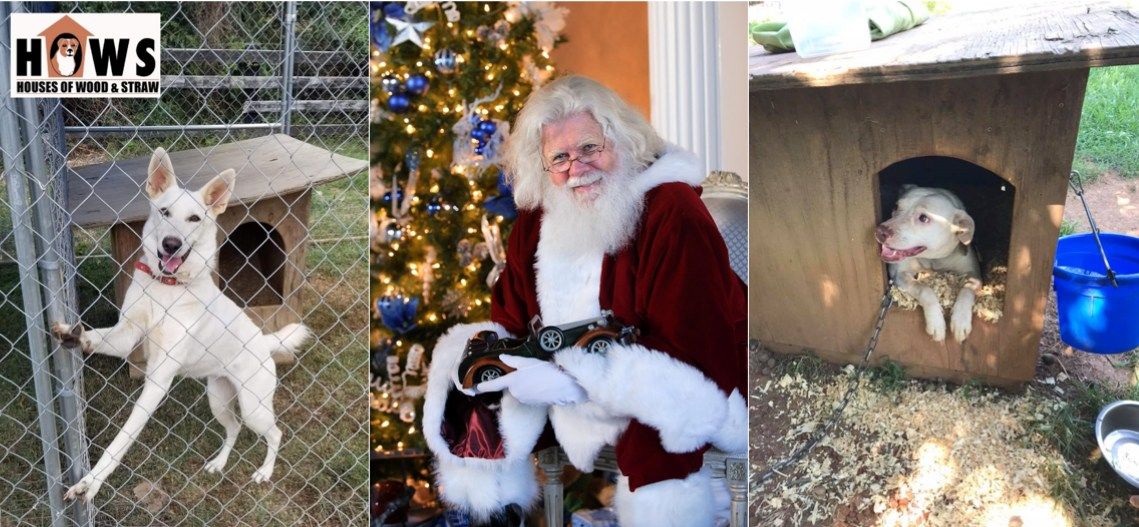 Pet Photos with Santa and Cousin's Maine Lobster Food Truck