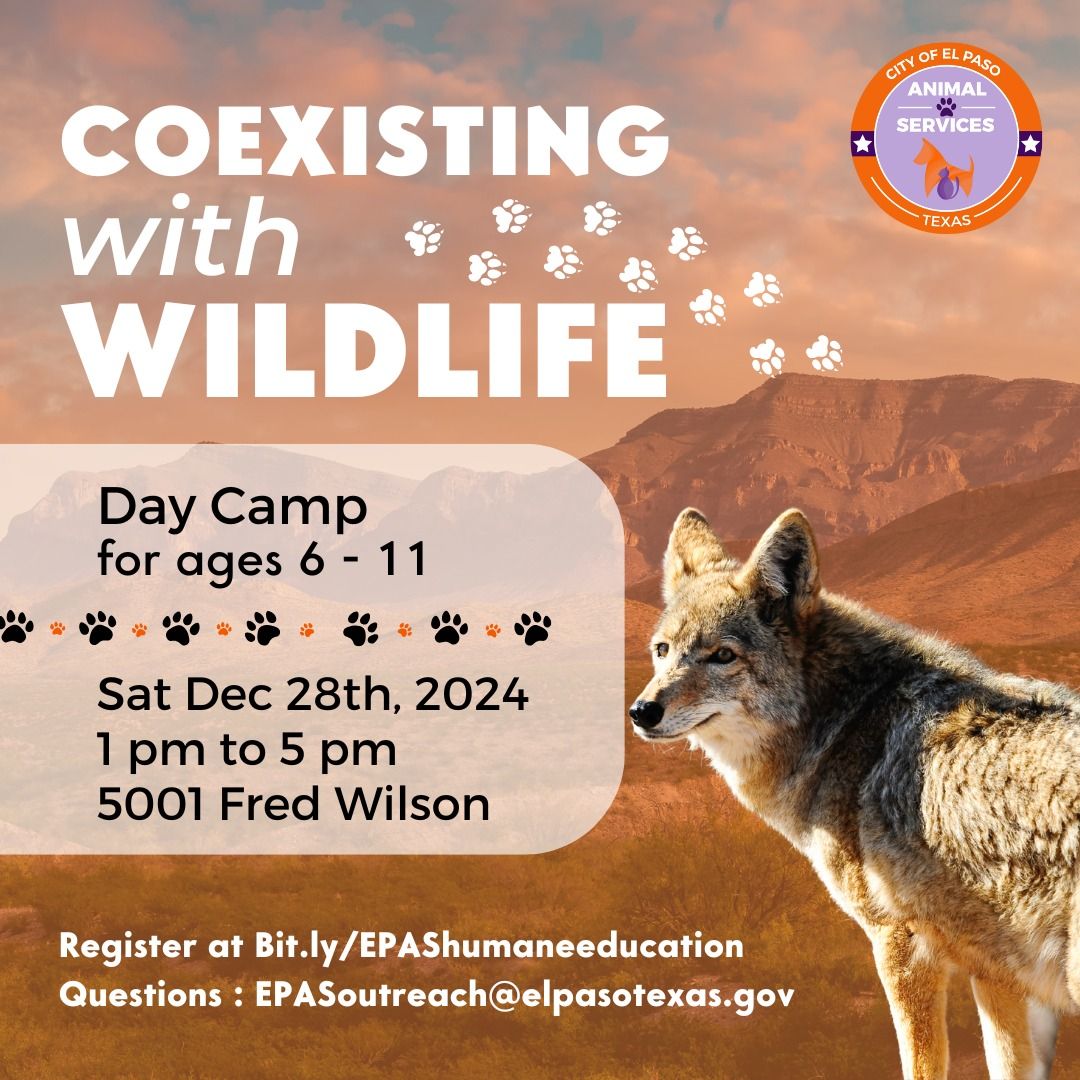 *FULL* Wildlife Camp | Ages 6-11