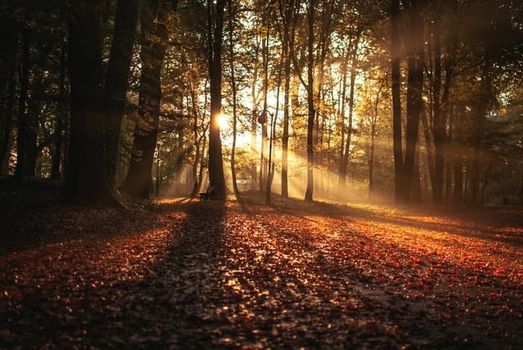 Mabon Psychic Fair