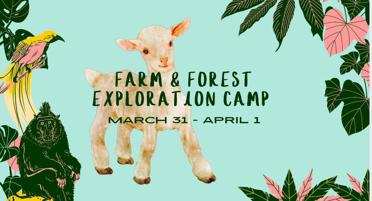 Spring Break Farm & Forest Exploration Camp