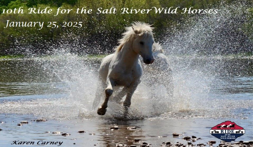 10th Ride for The Salt River Wild Horses 