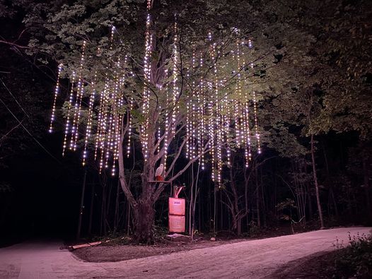 World of Winter | Singing Tree at Canal Park