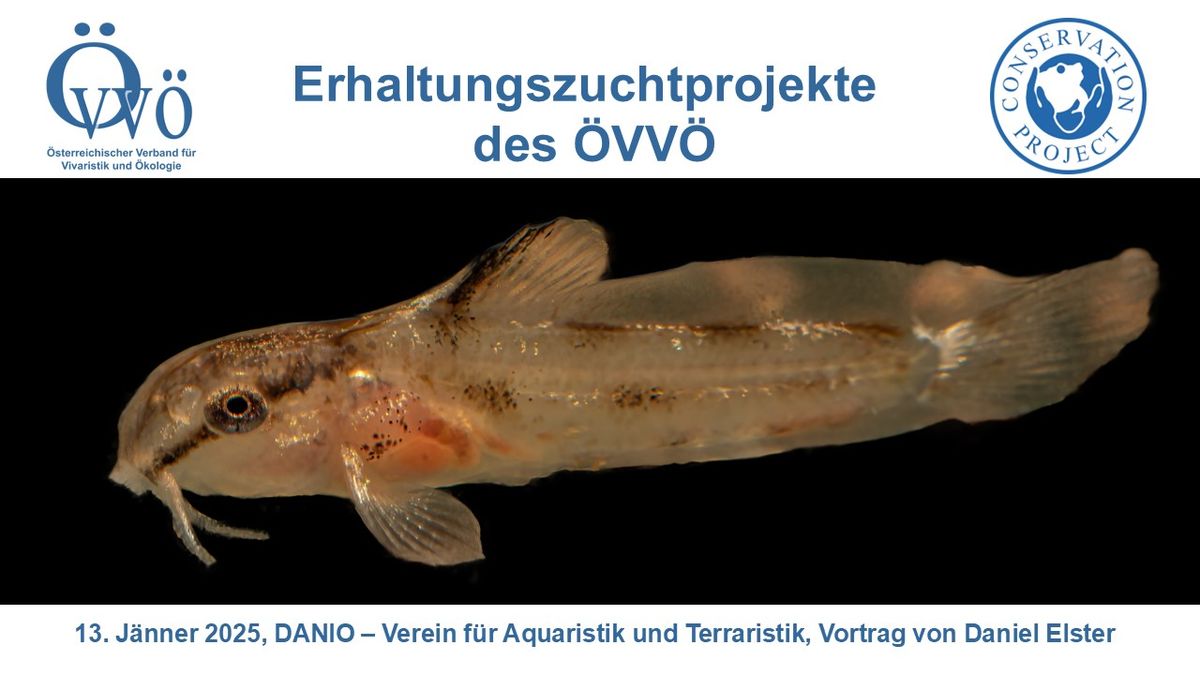 Vortrag: "Erhaltungszuchtprojekte des \u00d6VV\u00d6" von Daniel Elster, MSc MSc