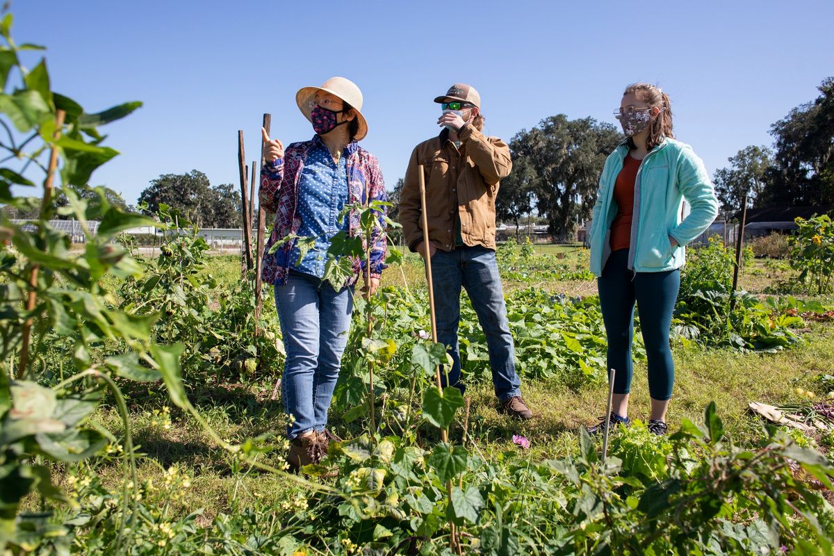 Vegetable Gardening with a Master Gardener