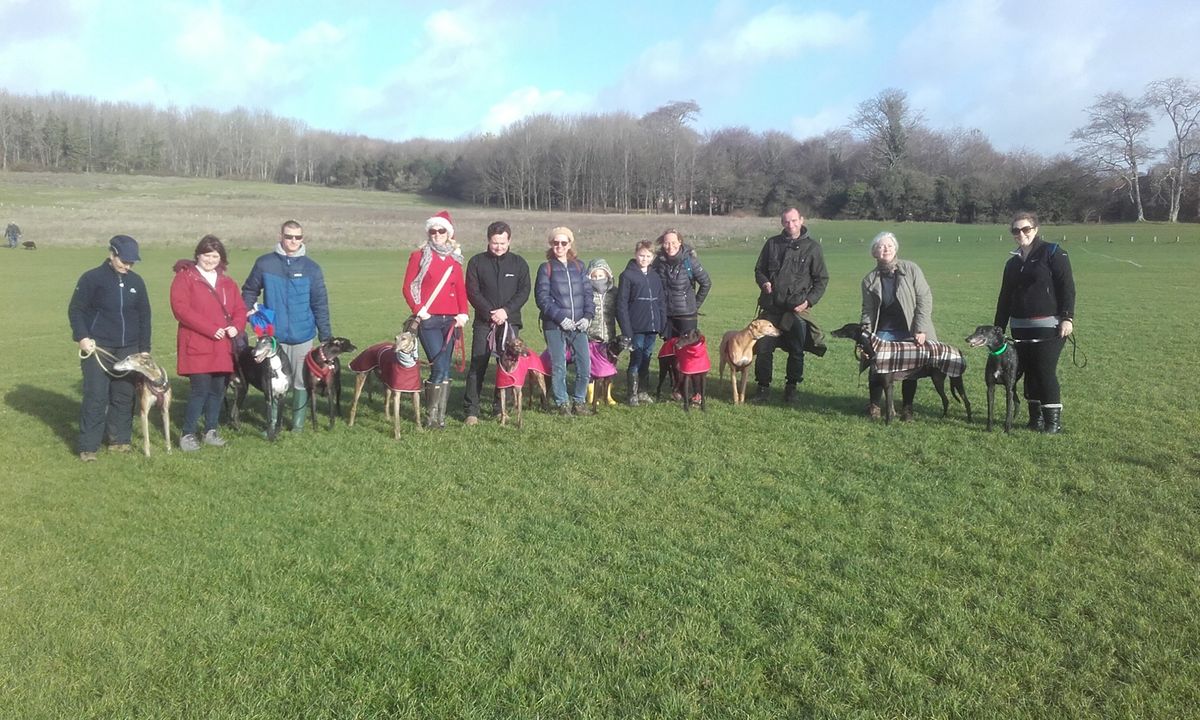 Brighton Greyhound Walk