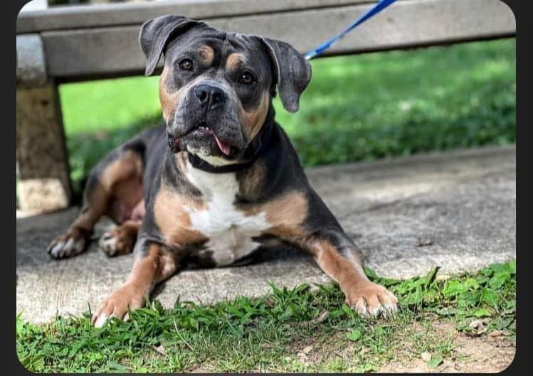 NEIGHBORHOOD PET STORE DAY AT WILD WHISKERS