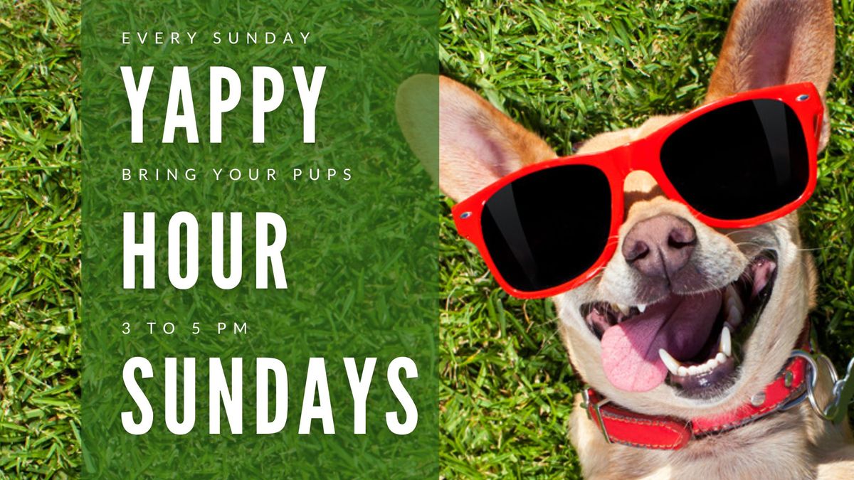 Yappy Hour Sundays - Pet-Friendly Event