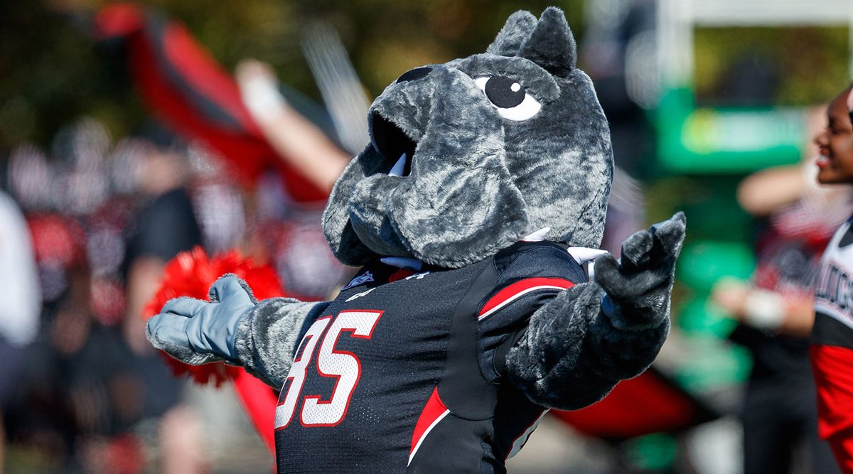 Gardner-Webb Runnin' Bulldogs at South Carolina Gamecocks Baseball