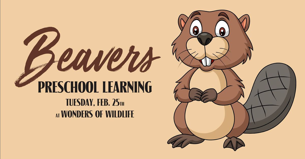 Preschool Learning Classes at Wonders of Wildlife