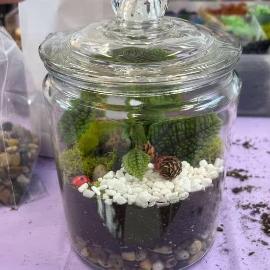 Closed Eco-System Terrarium Class