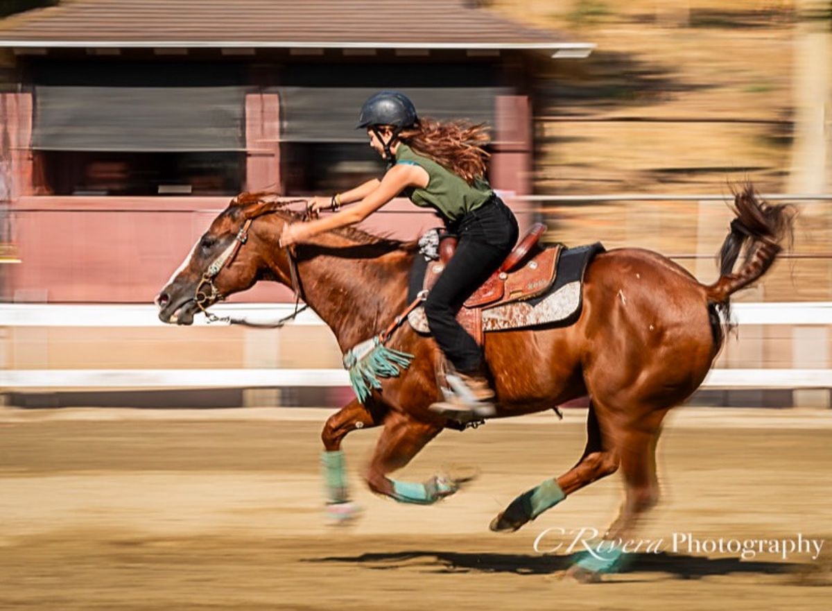 May Gymkhana 