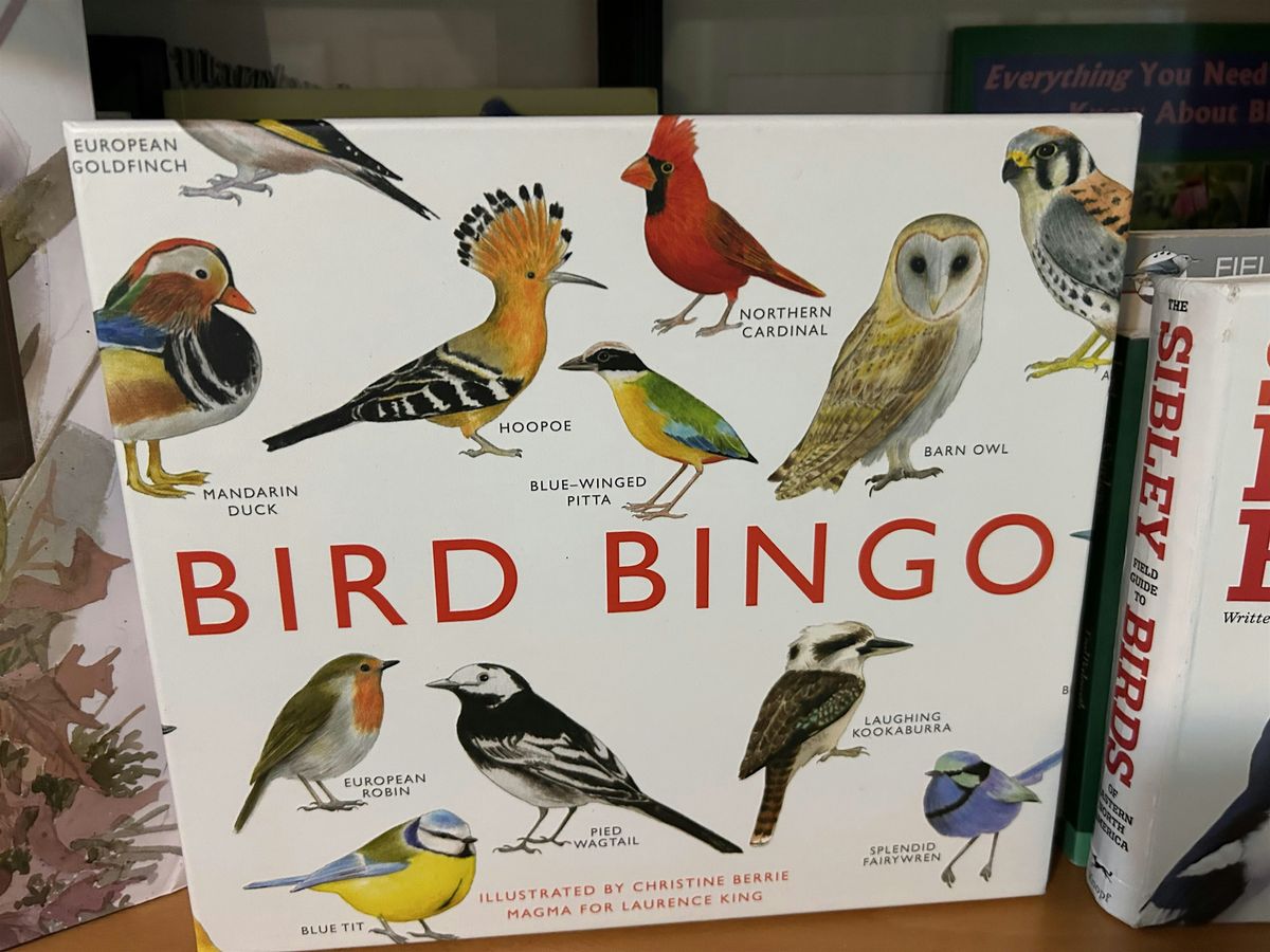 Bird Bingo with Ethan!