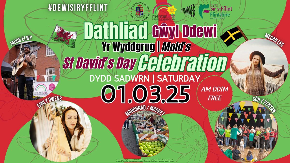 Dathliad Dydd G\u0175yl Dewi Yr Wyddgrug \/ Mold's St David's Day Celebrations 