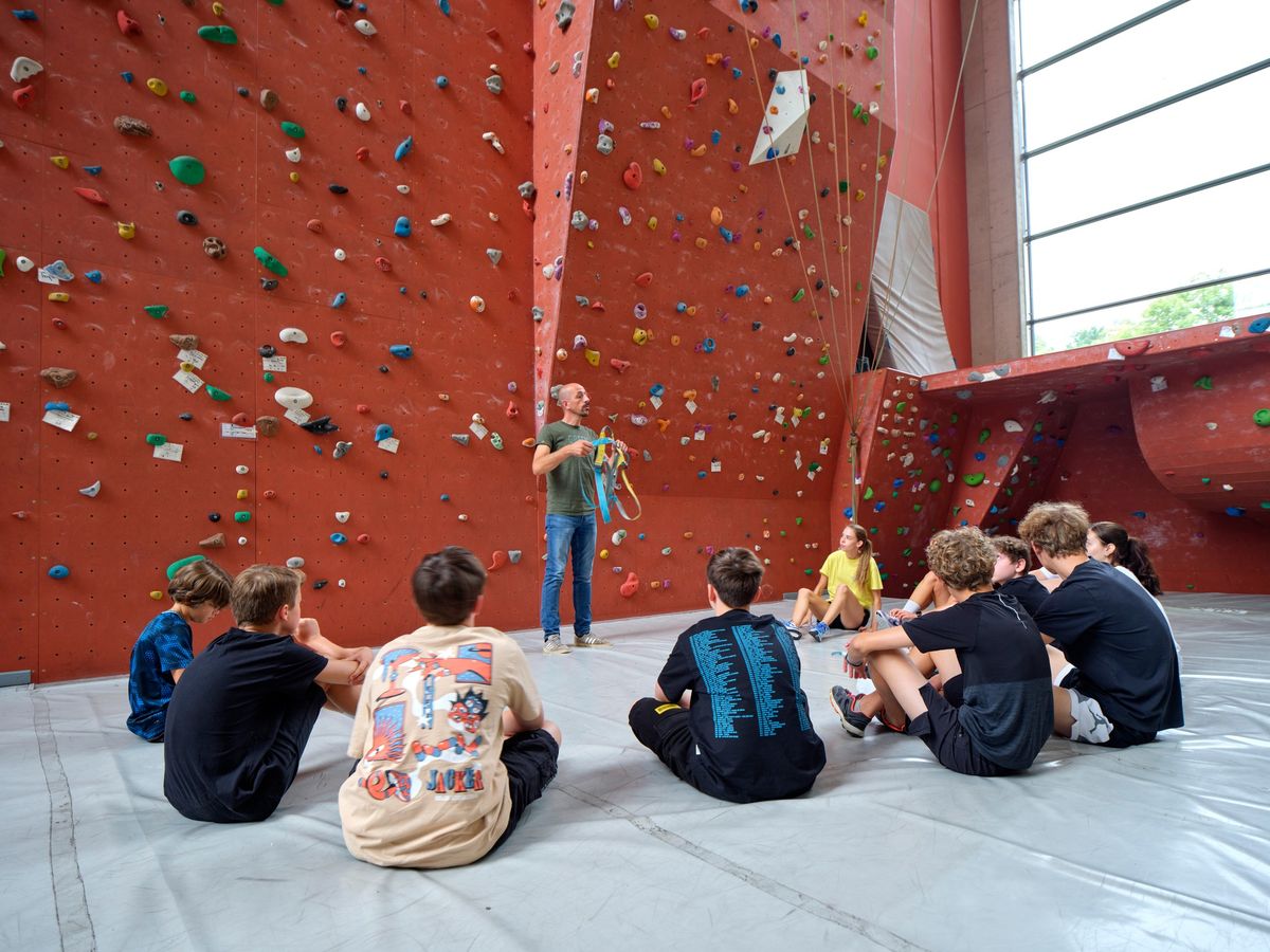 Mini Koala climbing course - Adventure and fun for 6-8 year old kids