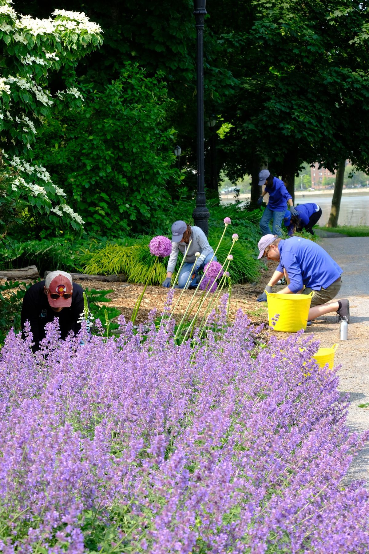 Team RIVER Volunteers