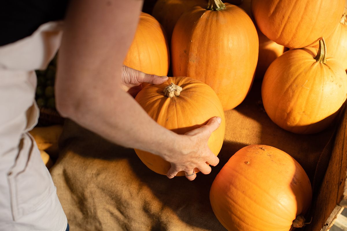 Harvest On The Farm 