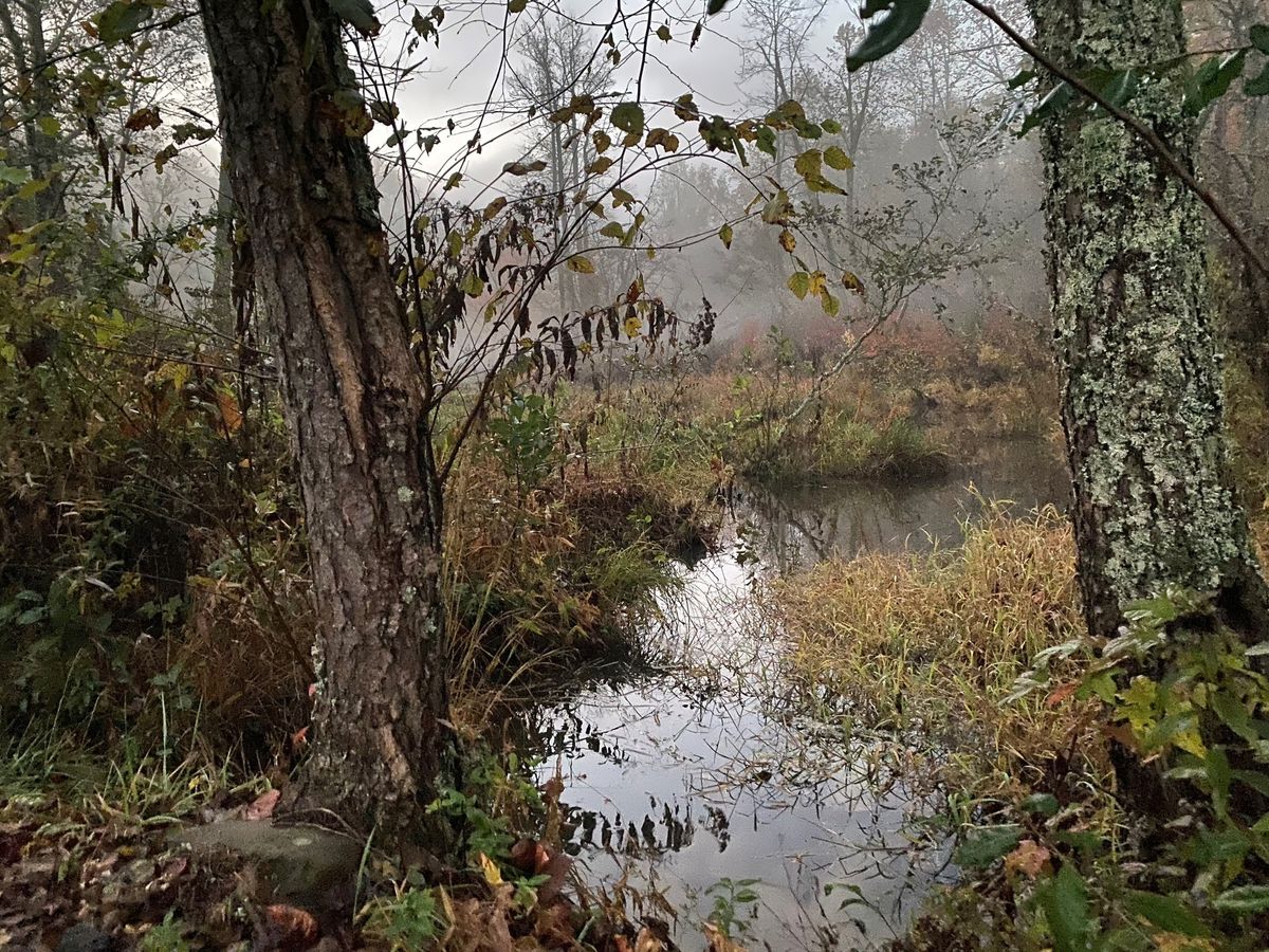 Halloween Hike