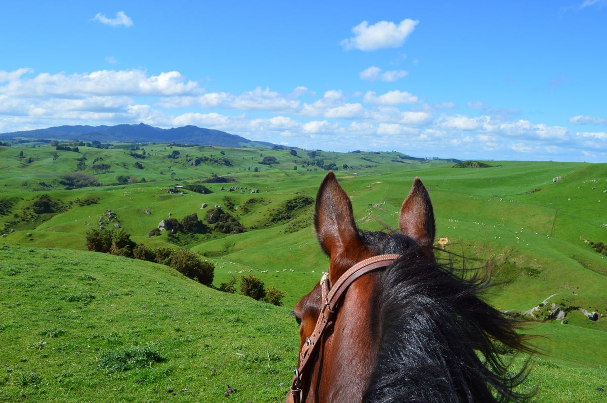 Trekking Weekend at Stone Hill (BYO horse only)