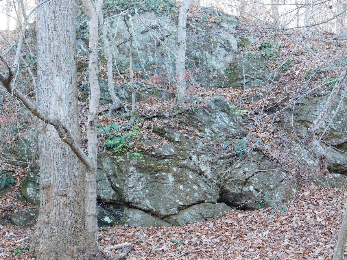 Rocky Run Geology Hike