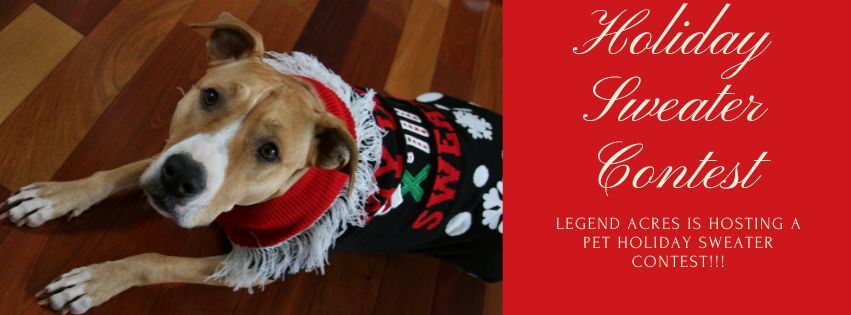 Legend Acres Annual Pet Holiday Sweater Contest 