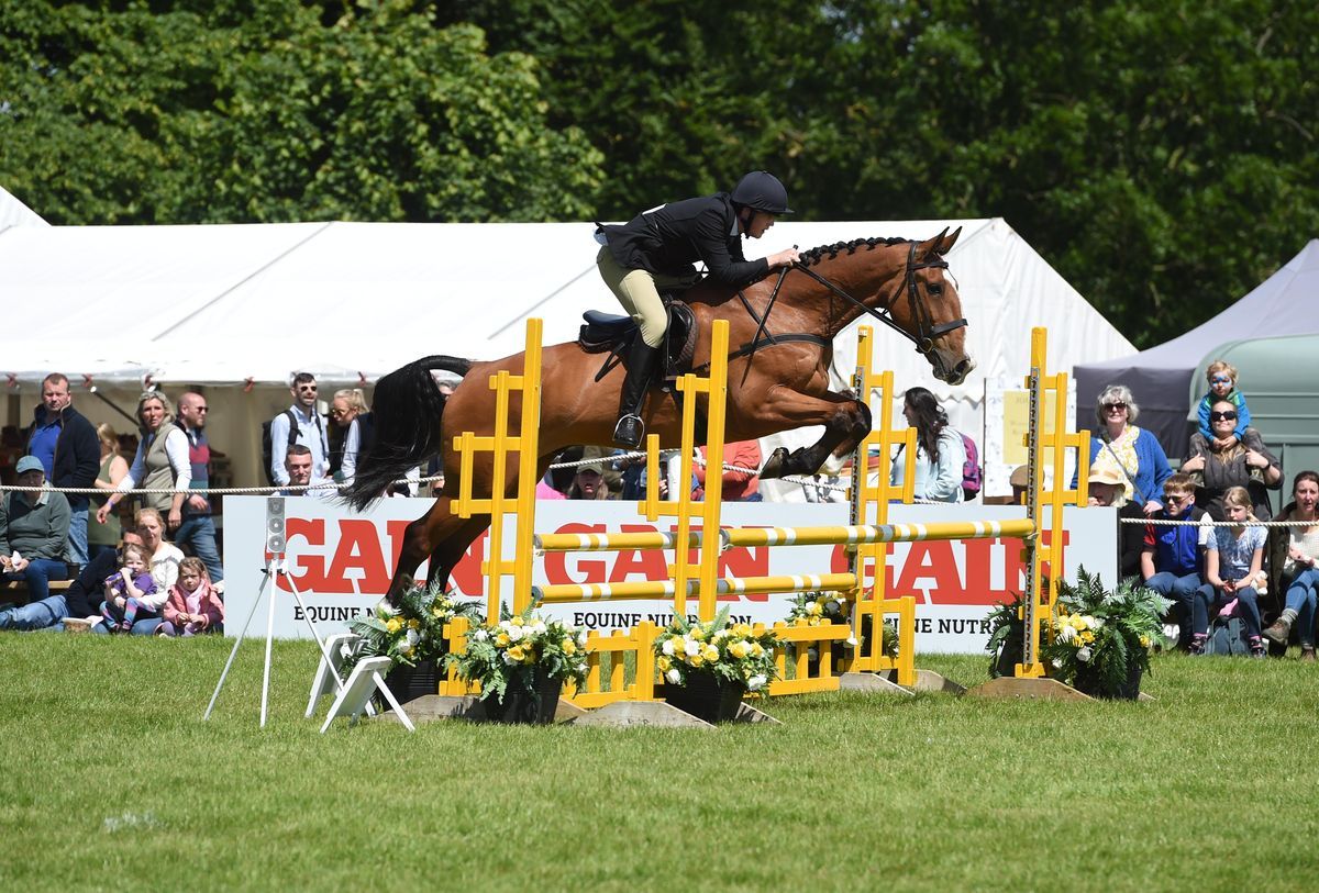 Unaffiliated Showjumping Bishop Burton