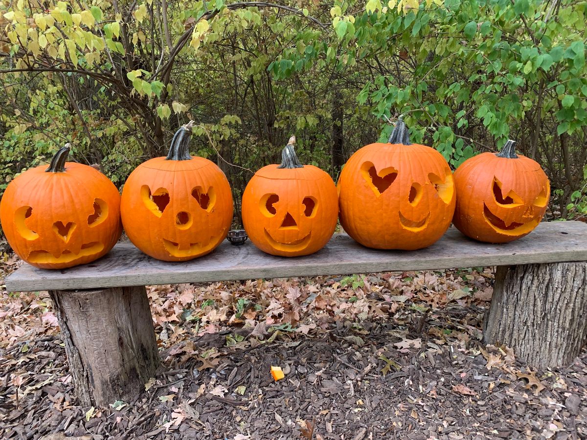 Jack O Lantern  Community Walk