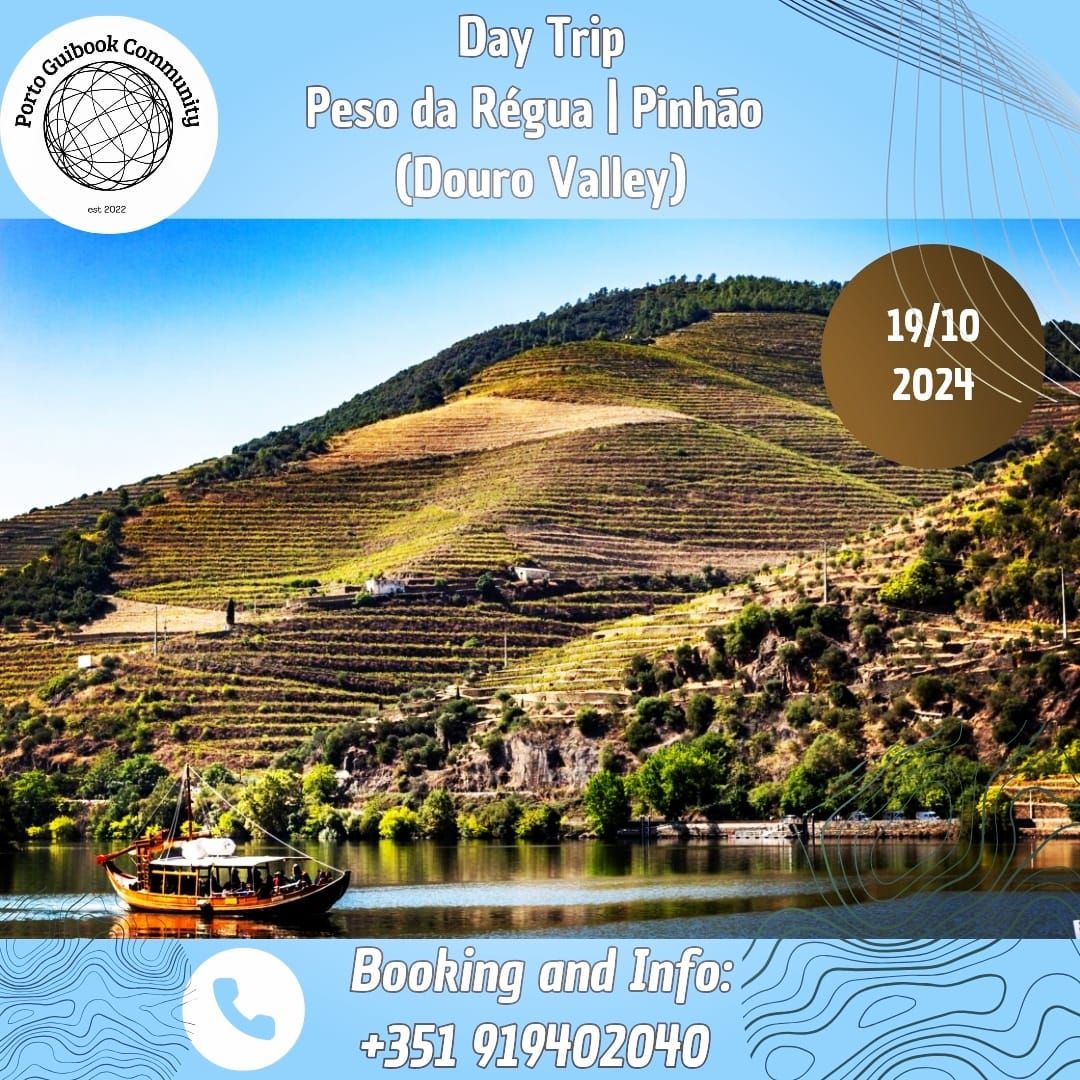 Porto: Day Trip Douro Valley (Peso da R\u00e9gua & Pinh\u00e3o)