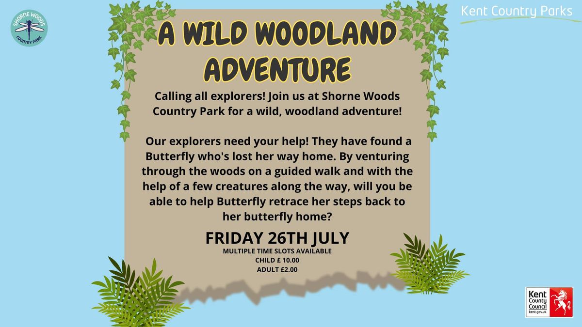 Wild woodland story adventure