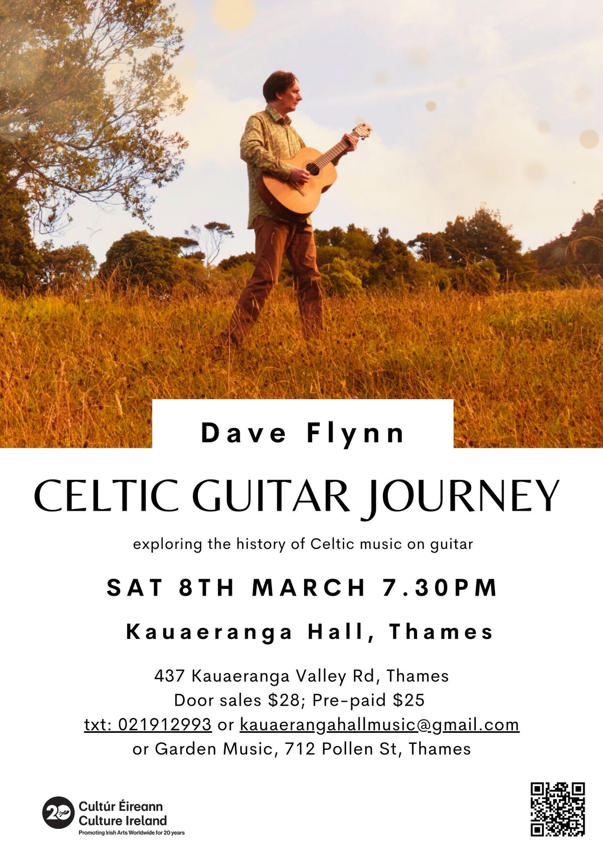 Dave Flynn - Celtic Guitar Journey