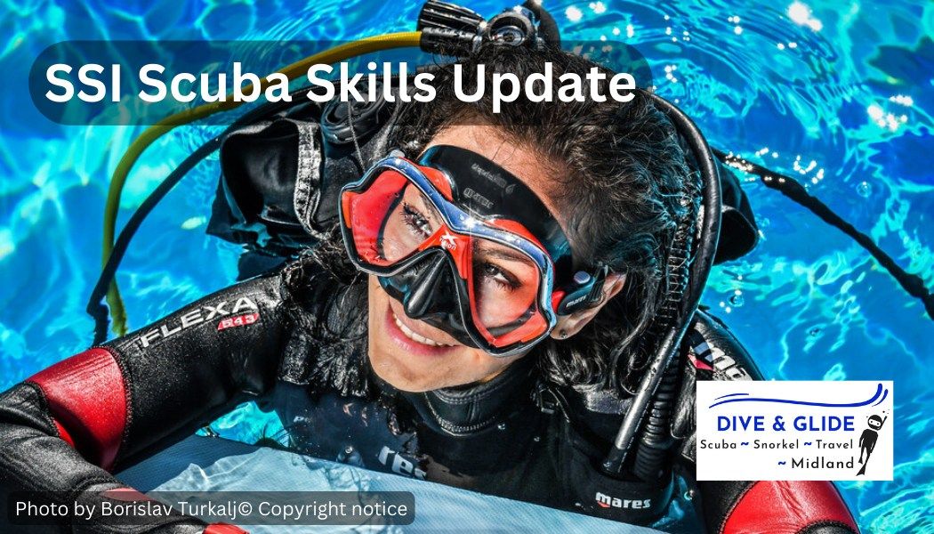 SSI Scuba Skills Update (Class #2529)