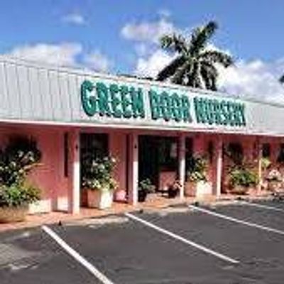 Green Door Nursery