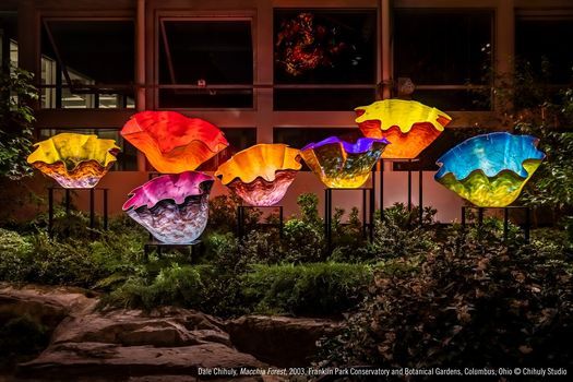 Chihuly Nights at Franklin Park Conservatory