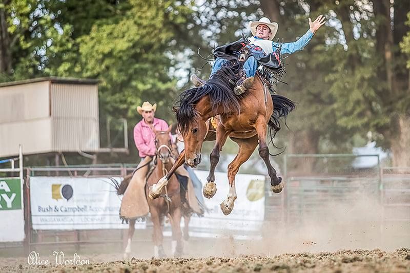 Tumbarumba Rodeo