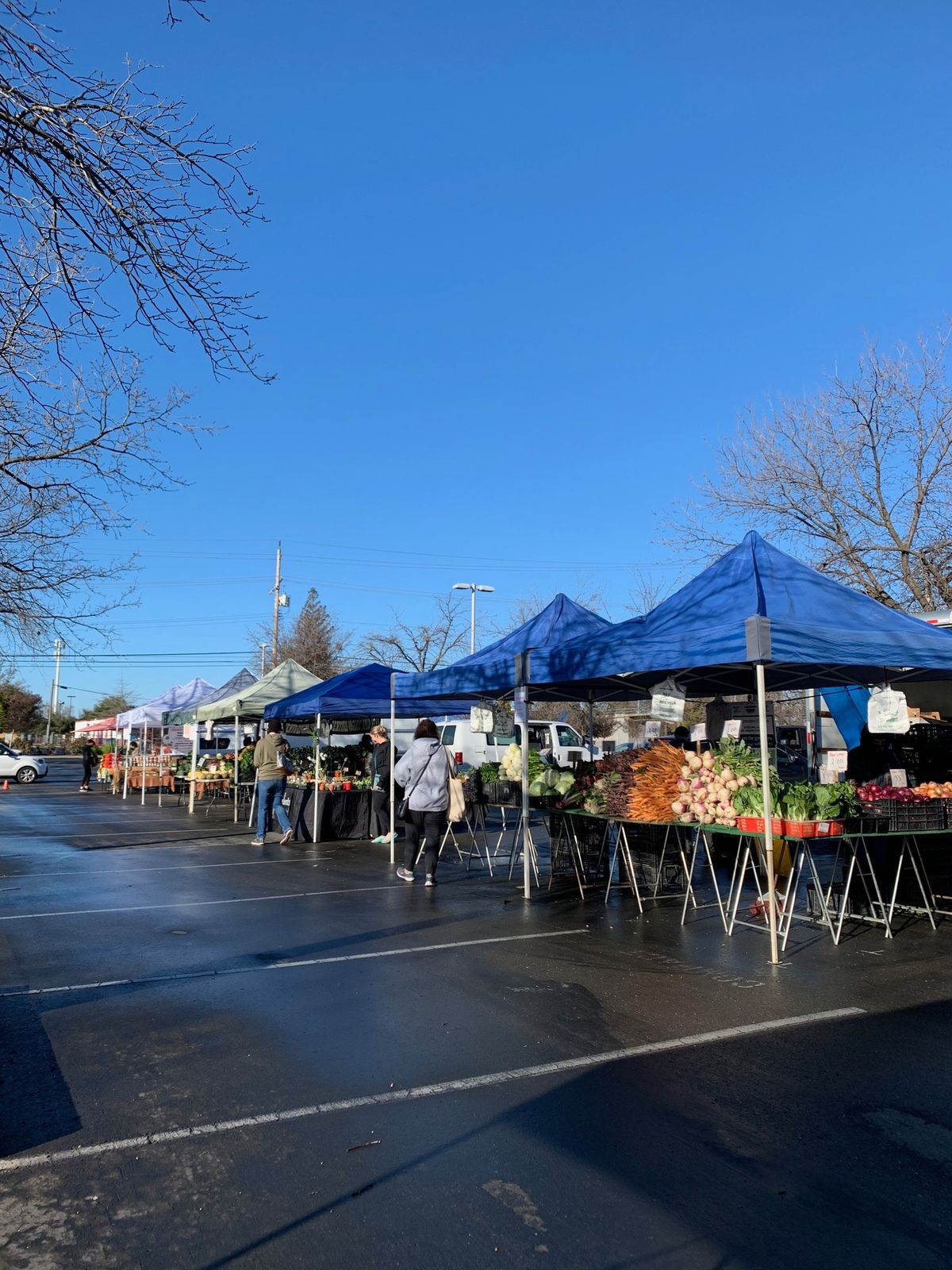 Rancho Cordova Certified Farmers' Market (Weekly)