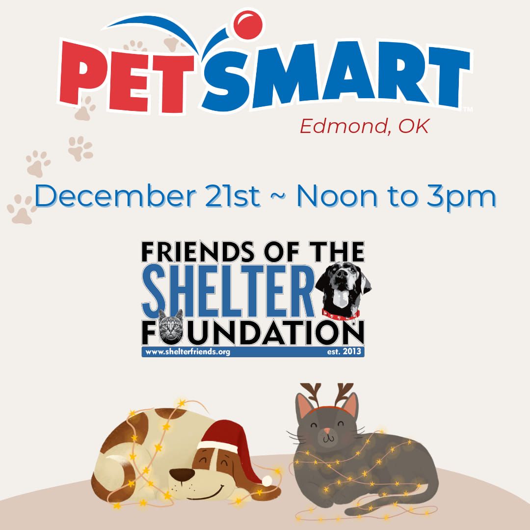 Adoptions at Edmond Petsmart 