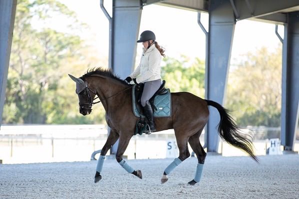 Janet Foy Dressage Clinic | January 14 