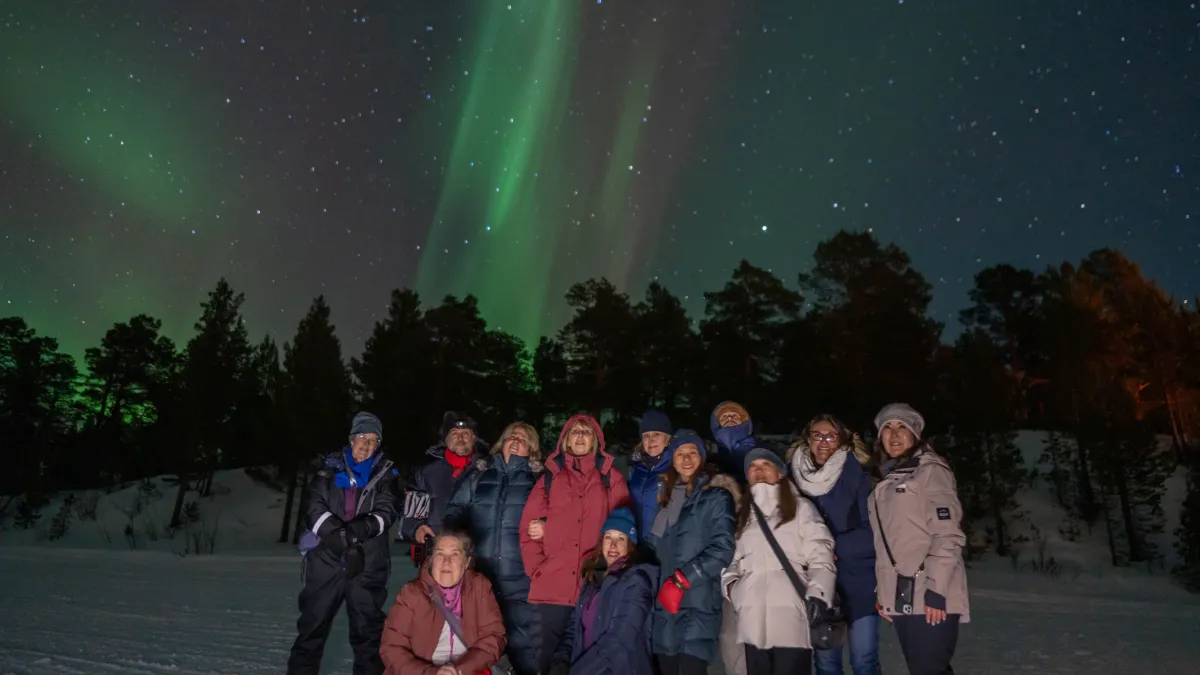Northern Lights. A Scandinavian Odyssey! Reindeer, dog sledding, Ice fishing ...