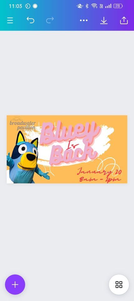 Bluey is Back! January Market