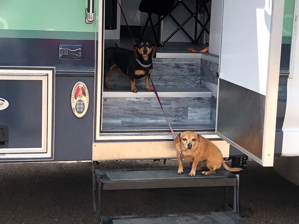 Wellness Waggin Vaccination Clinic at Hillside Community Center