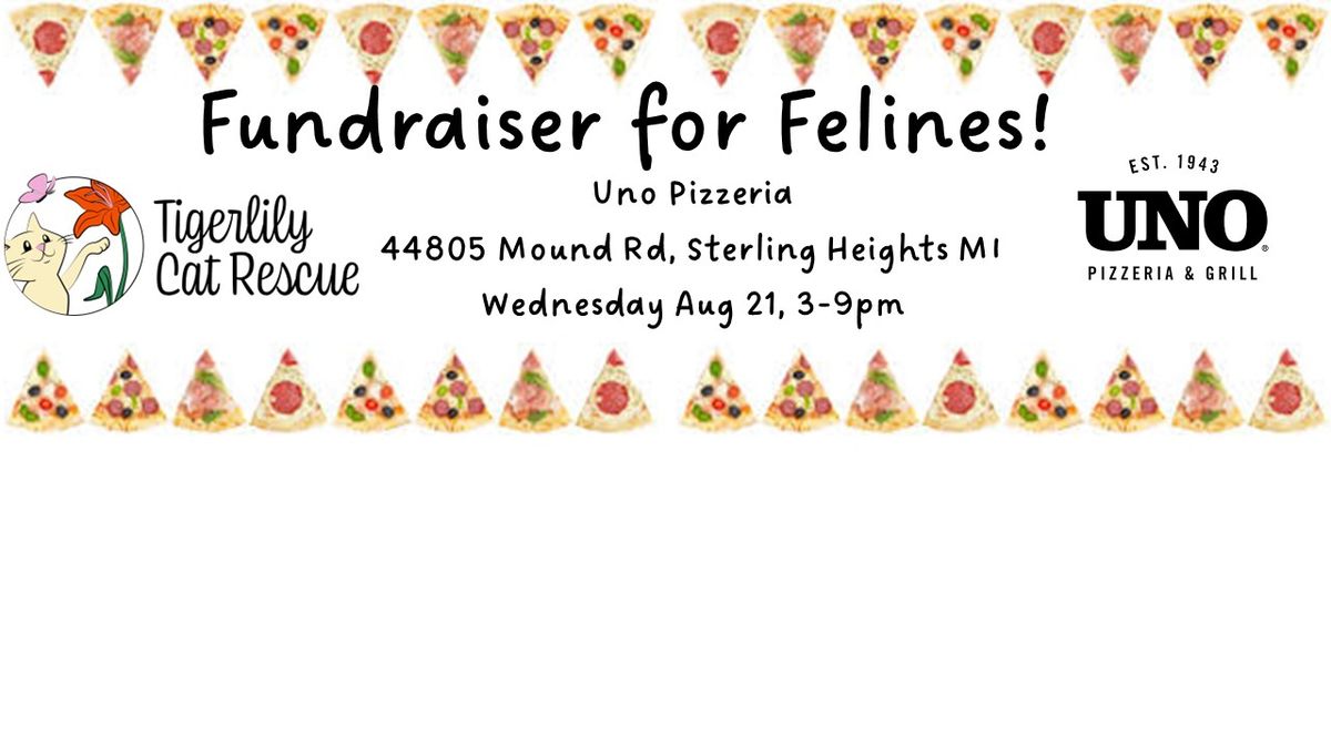 Fundraiser for Felines at Uno Pizzeria!