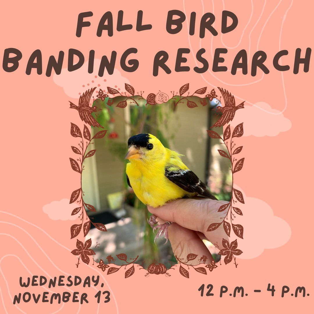 Observe Fall Bird Banding Research