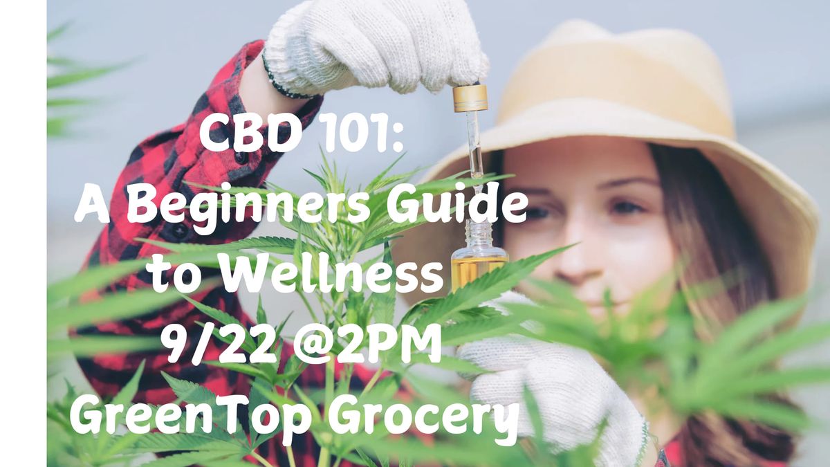 CBD 101: Beginners Guide to Wellness 